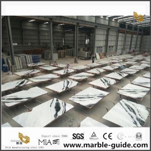 PANDA TILE de mármore branco para piso