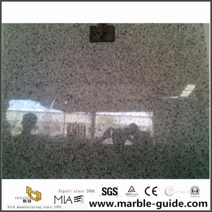 Bala White Granite Slabs Wholesale