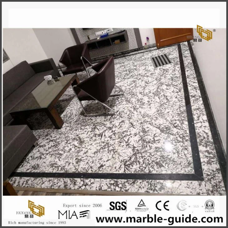 Bianco Antico Granite For Interior Flooring